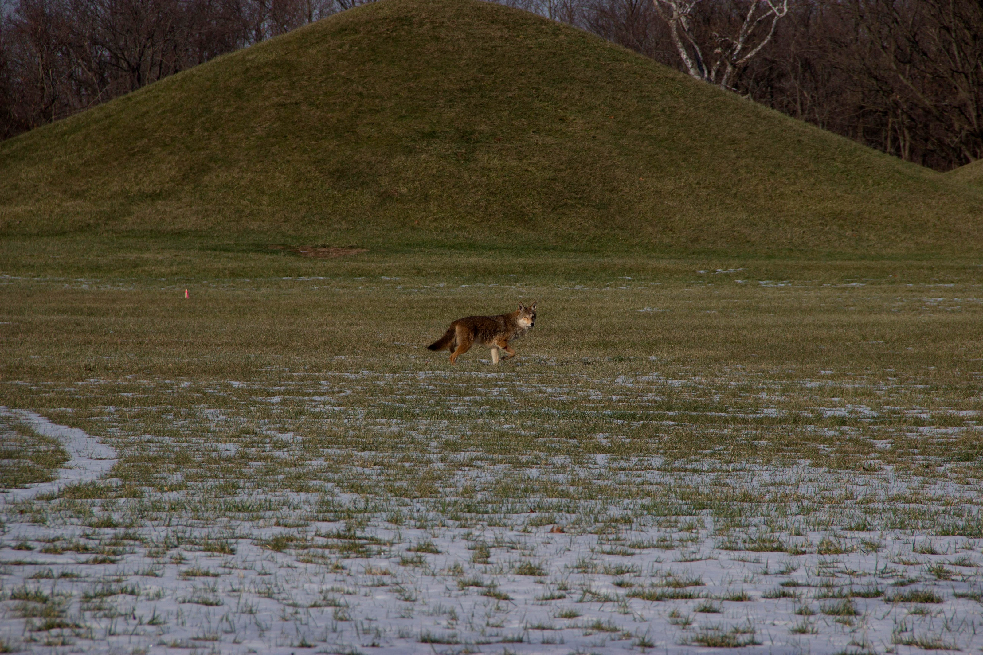 Hopewell Culture National Historical Park
