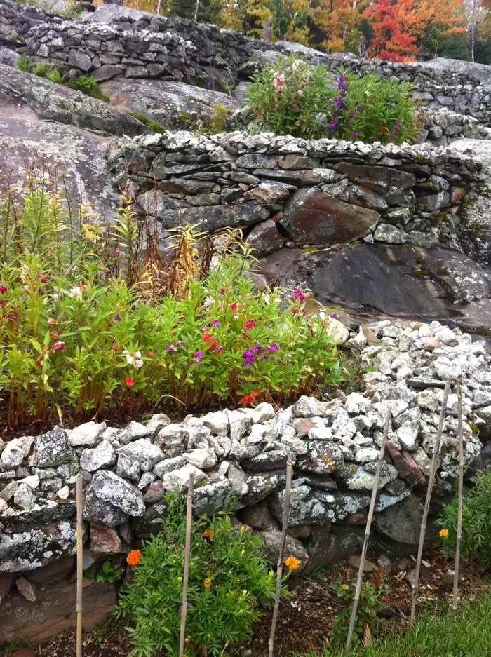 Ellsworth Rock Gardens Tour and Eagle Watch