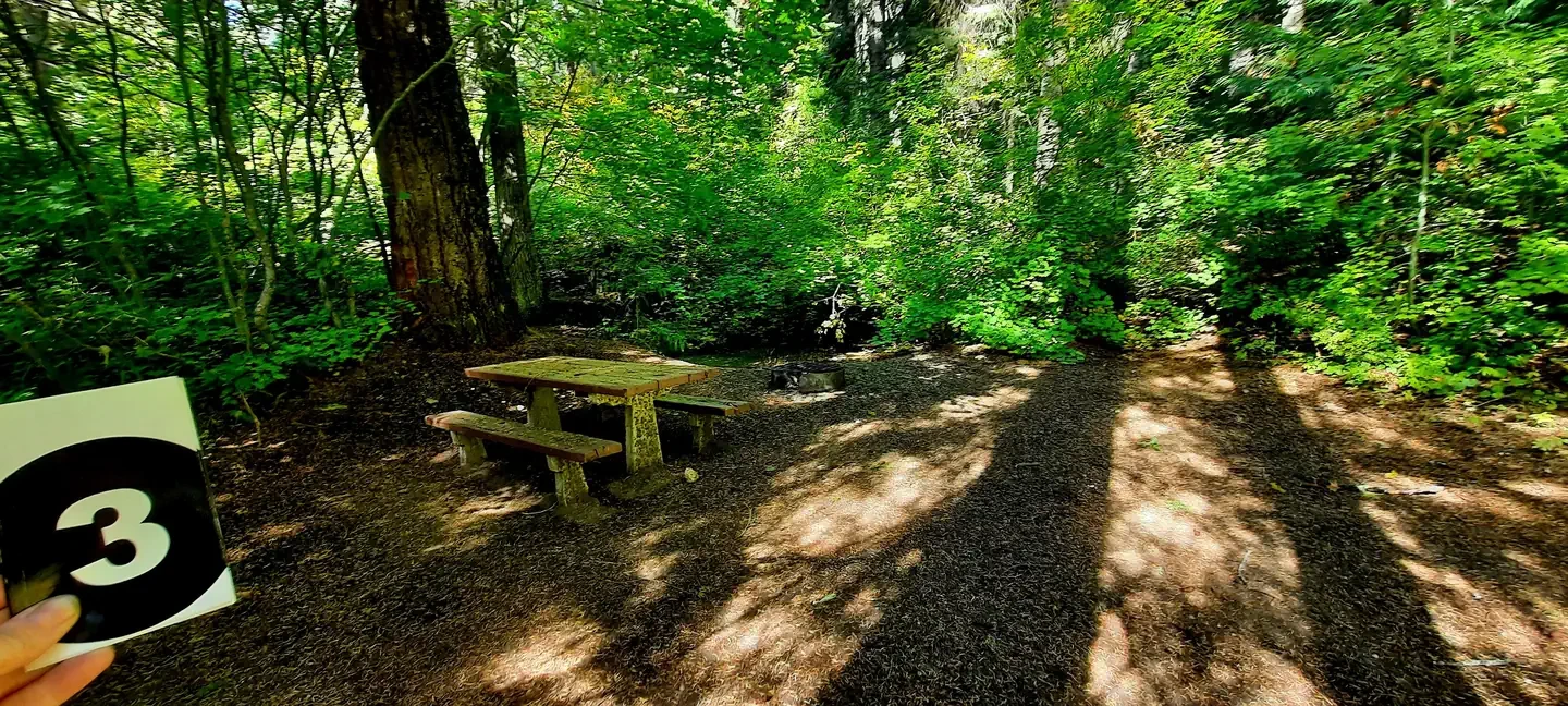 Finner Creek