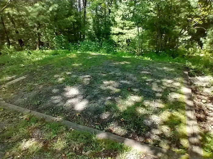 B43