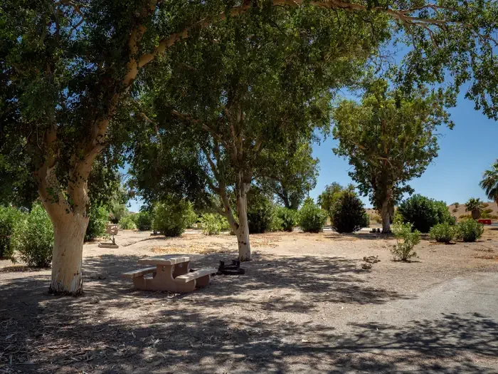 Site 25