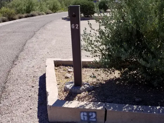 62