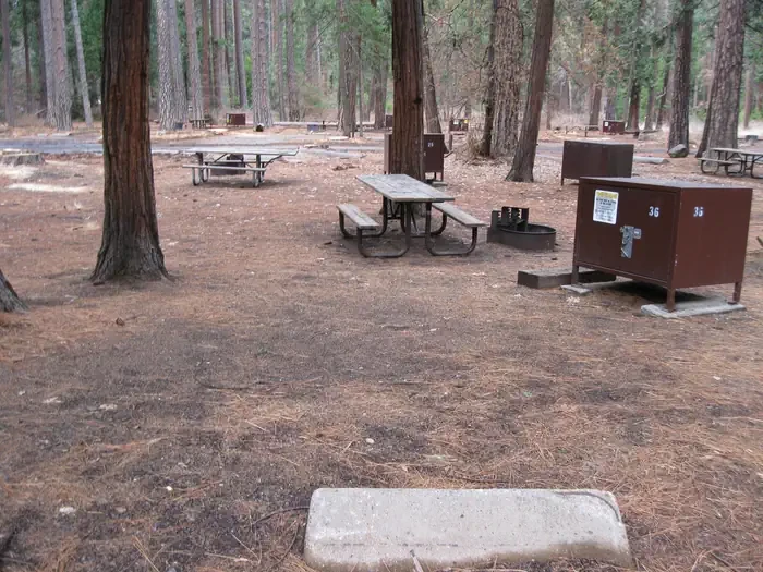 036