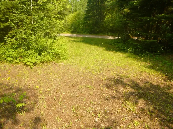 030