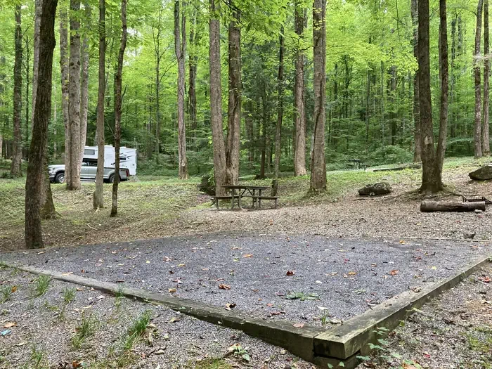 A33