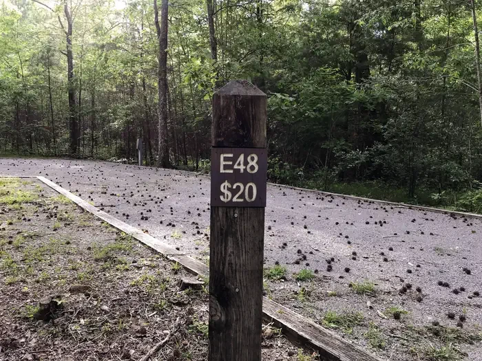 48