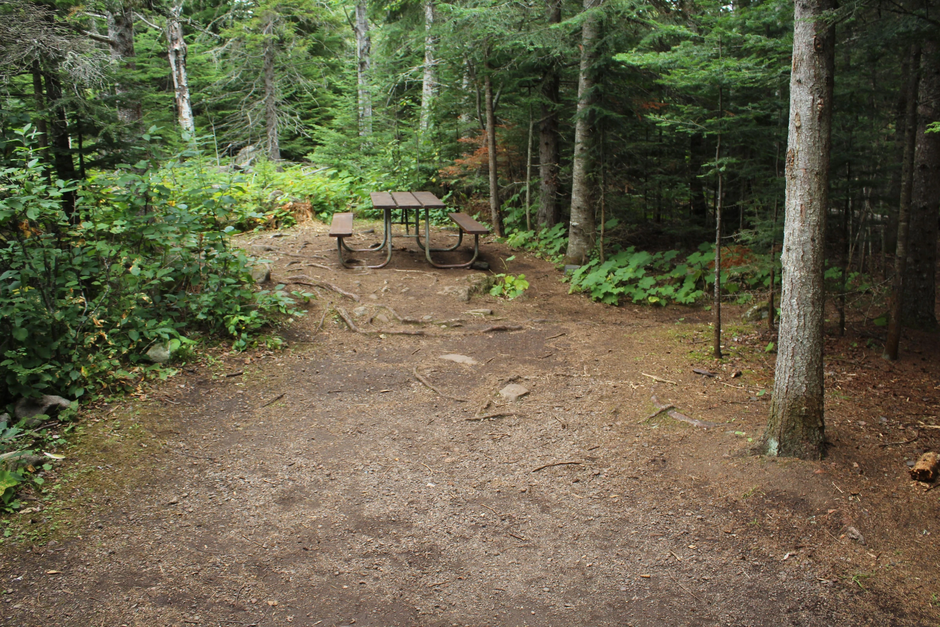 Daisy Farm Campground