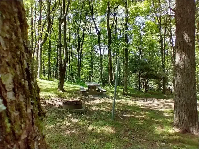 B27
