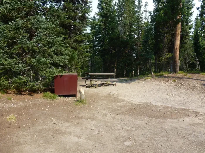 Lewis Lake site #77