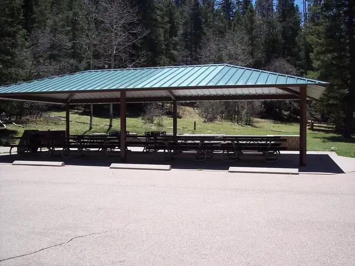 Black Bear Group Area