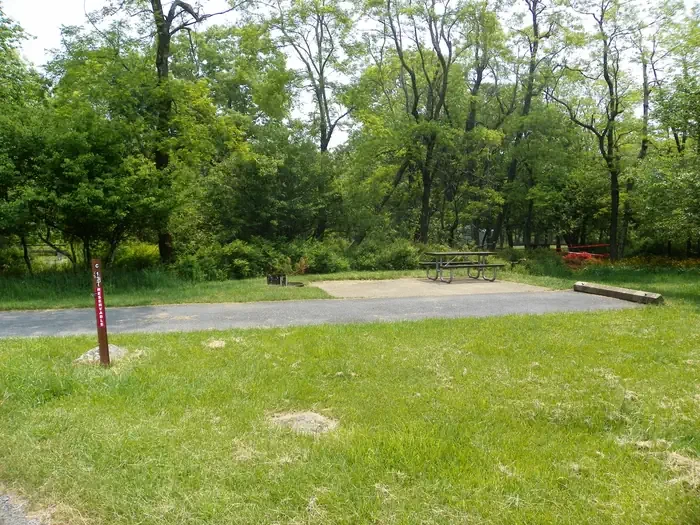 C137