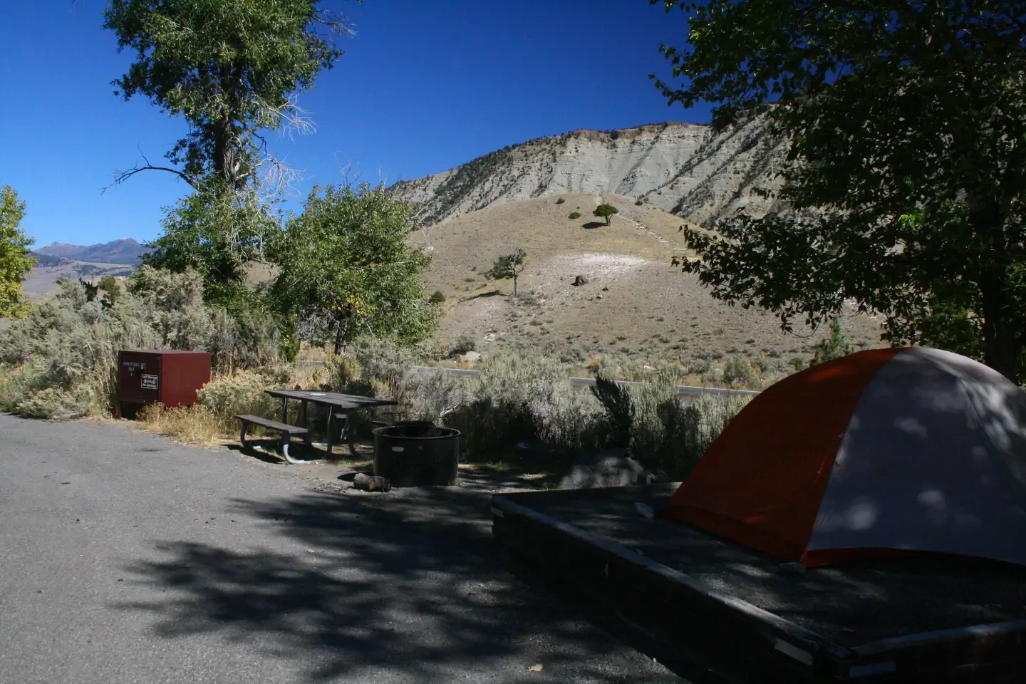Mammoth site #4
