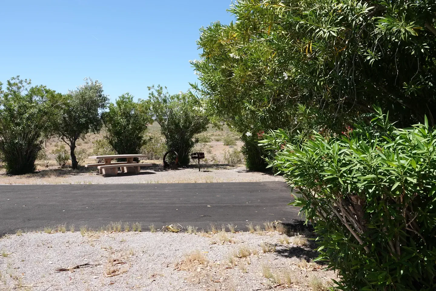 Site 20