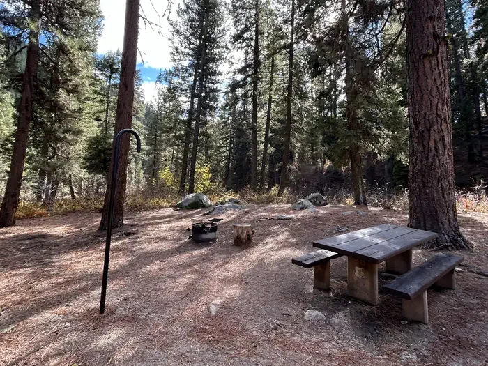 Bad Bear Campground