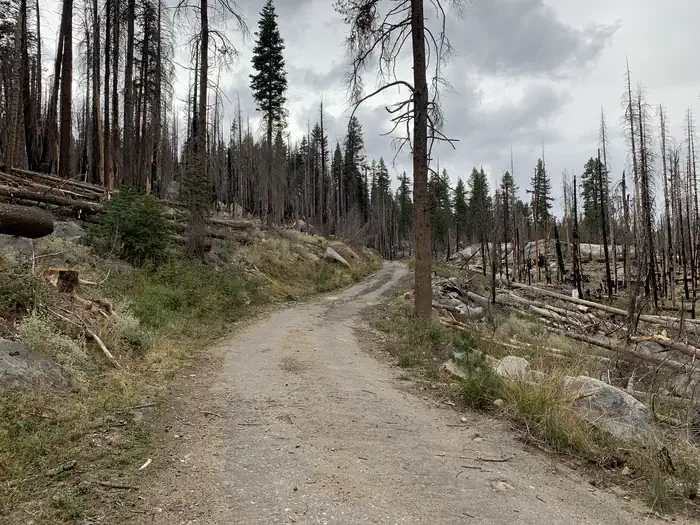 Yosemite Creek Campground