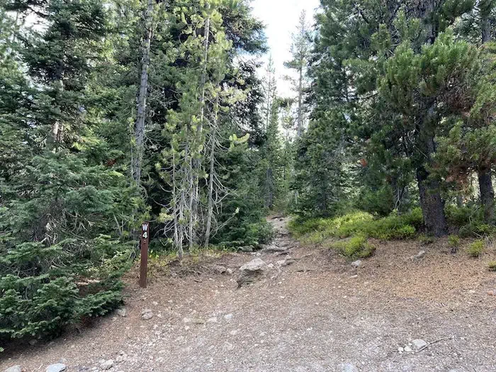 Lewis Lake site #4