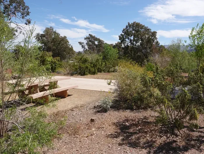 Site 2
