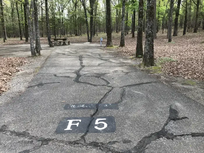 F05