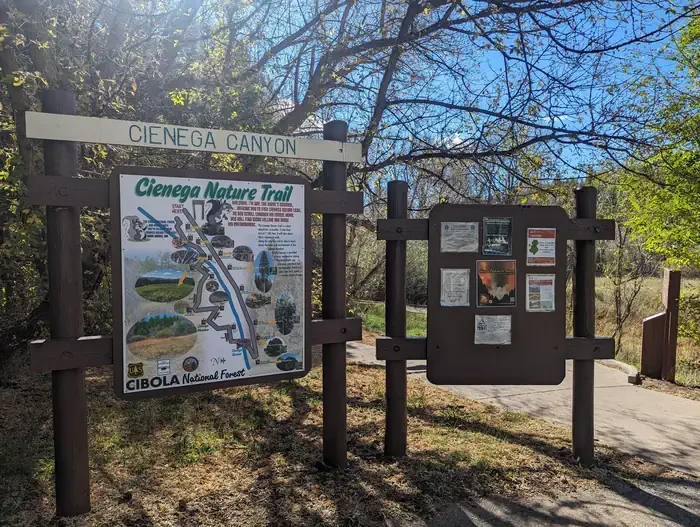 Cienega Picnic Site