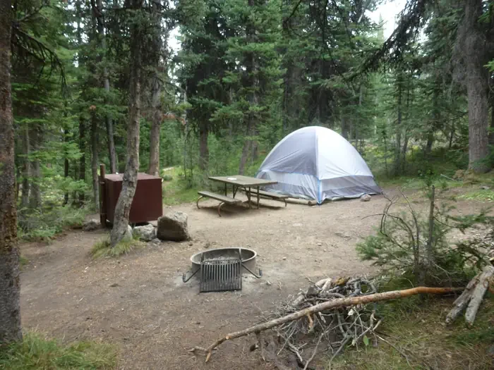 Lewis Lake site #65
