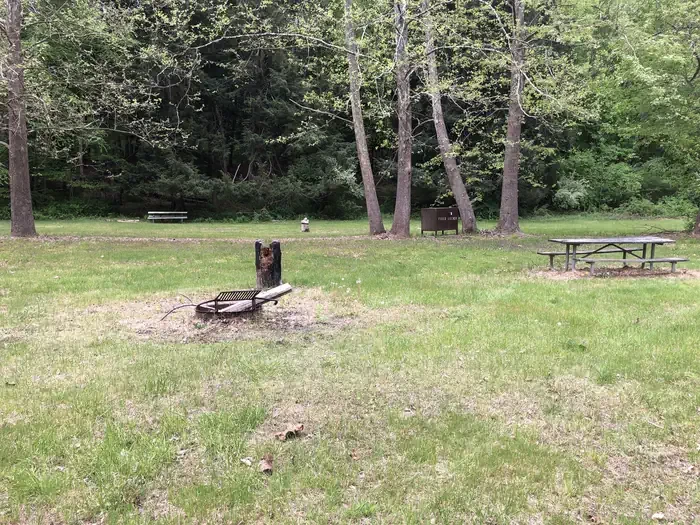 Site #1