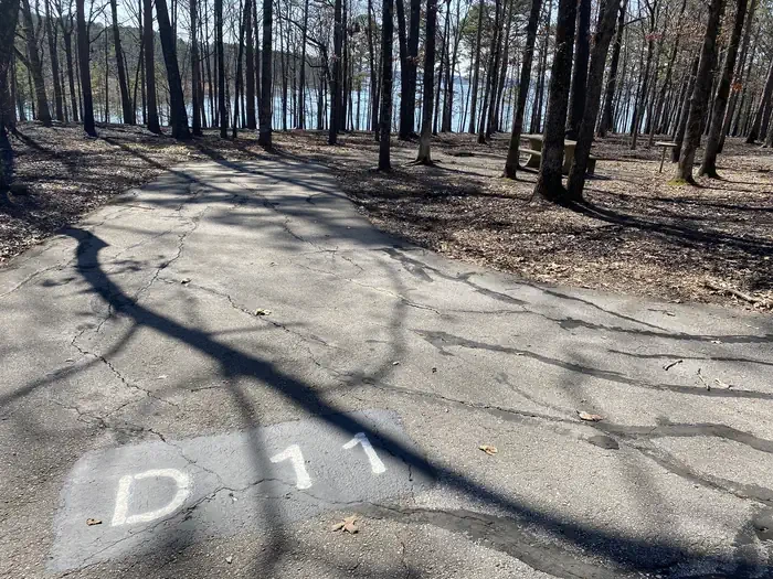 D11