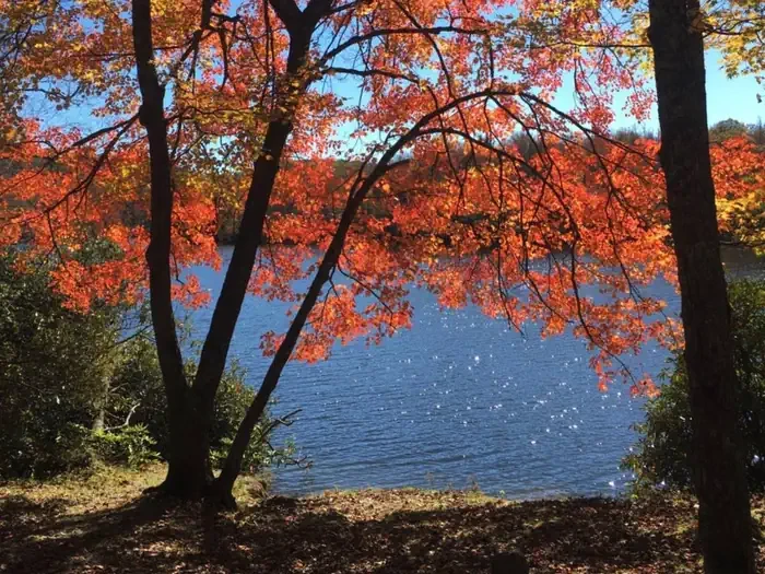 Julian Price Campground