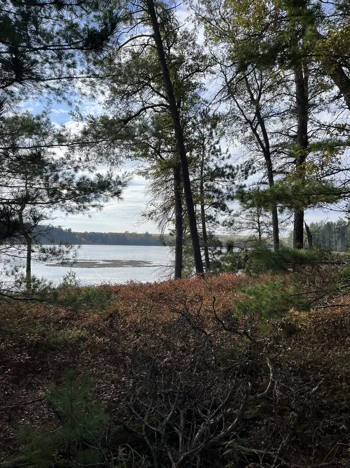 Wakeley Lake Campground