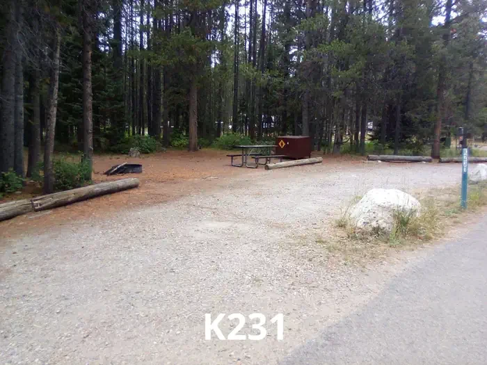 231