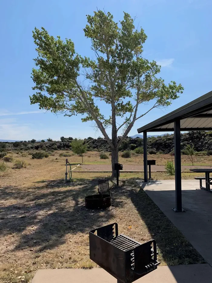Group Shelter 2