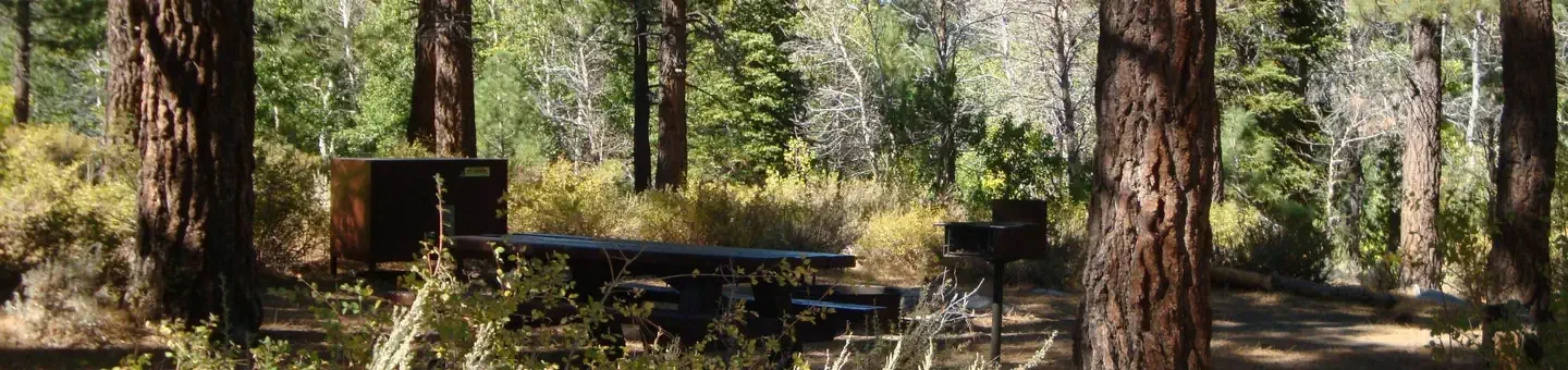 Sherwin Creek