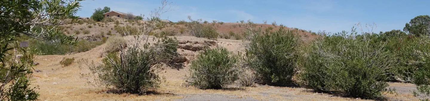 Site 20