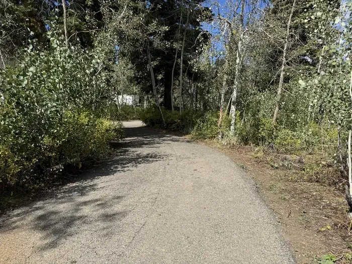 C26