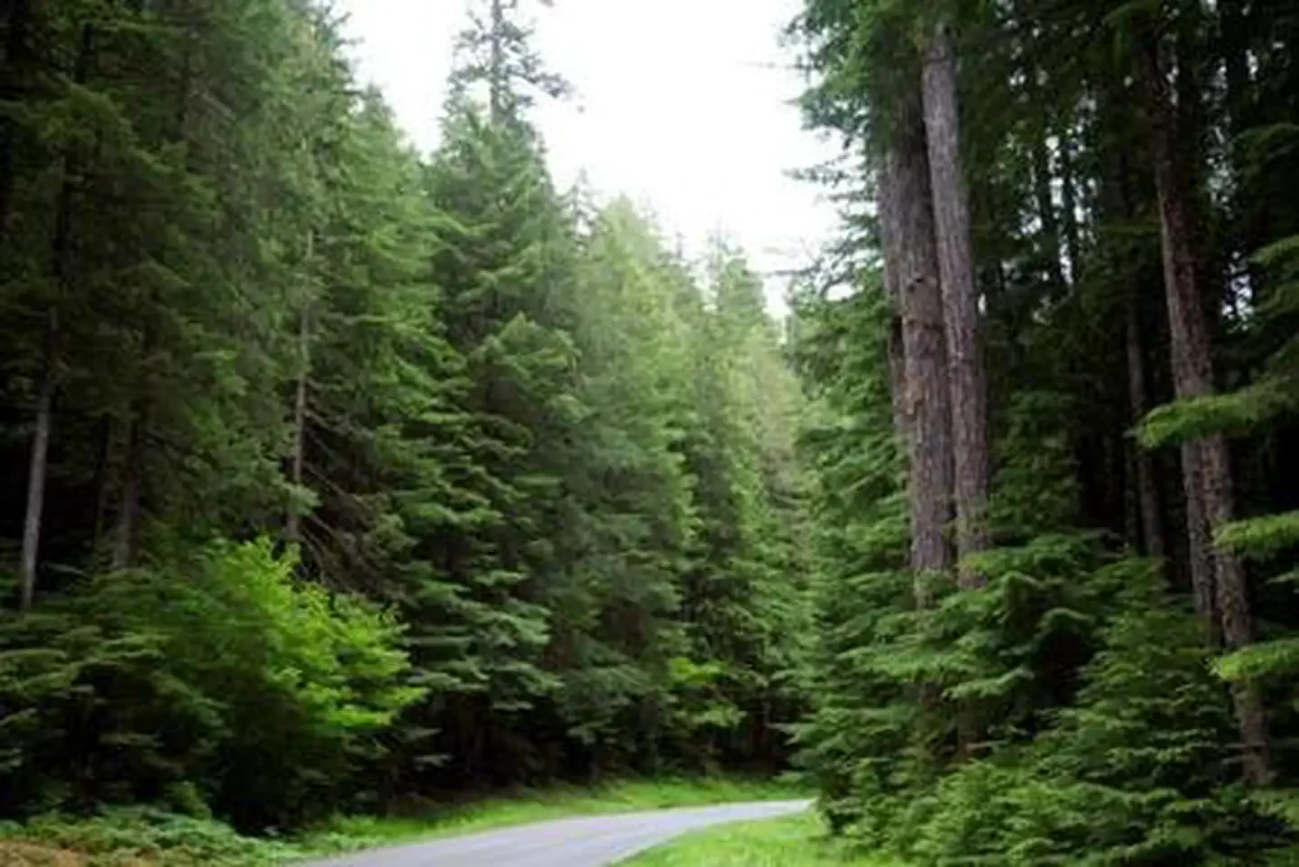 Sol Duc Hot Springs Resort Campground