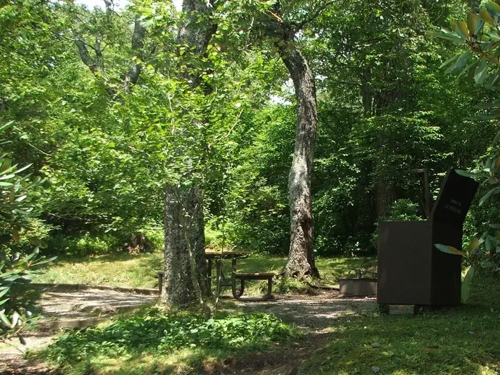 C09