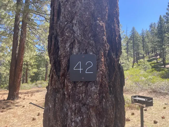 42