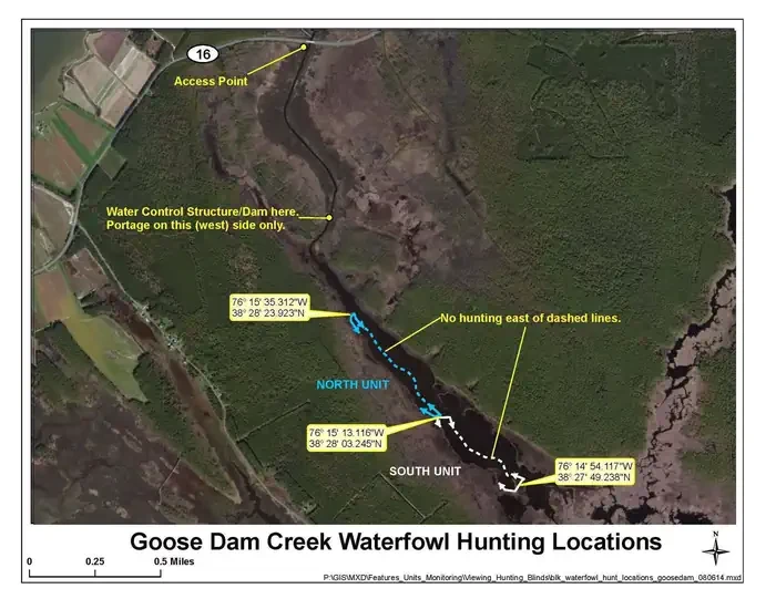Blackwater National Wildlife Refuge Waterfowl Hunt Permits