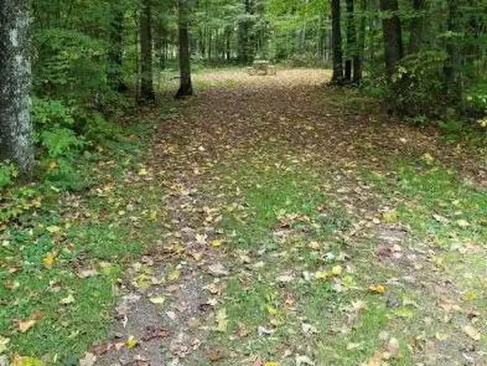 S35