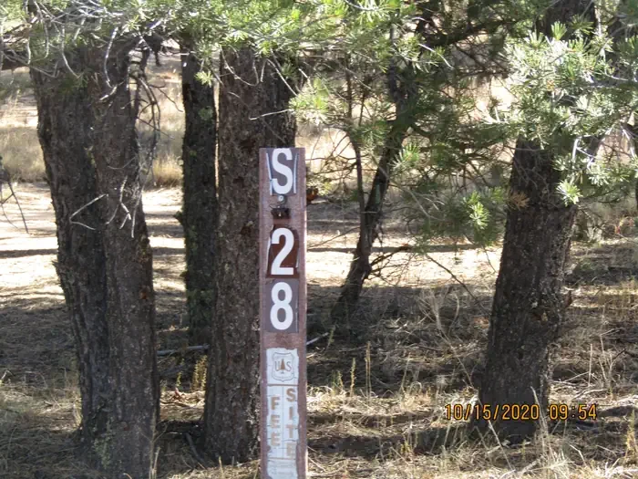 28