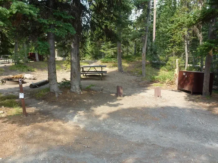 Lewis Lake site #37