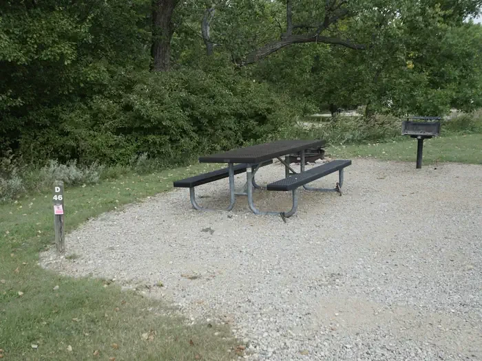 D46