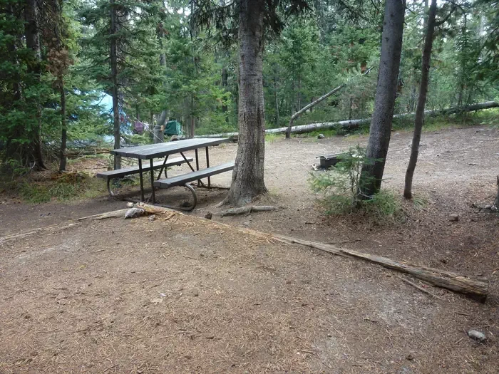 Lewis Lake site #19