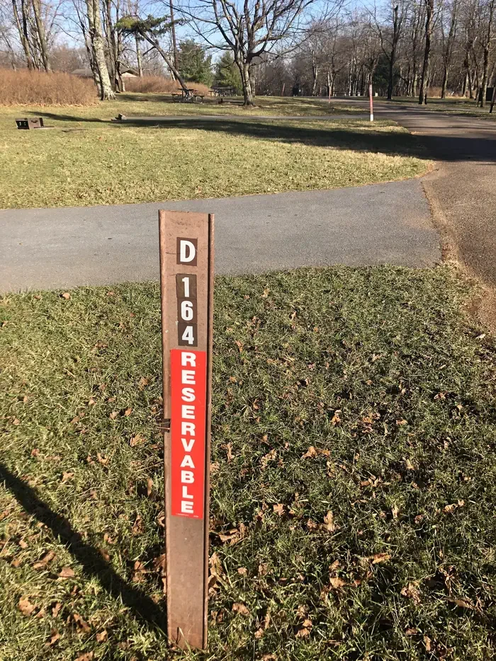 D164