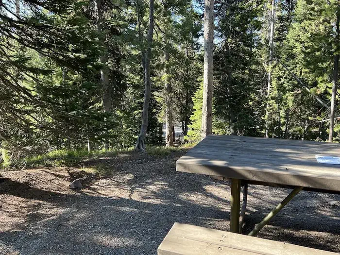 Lewis Lake site #4