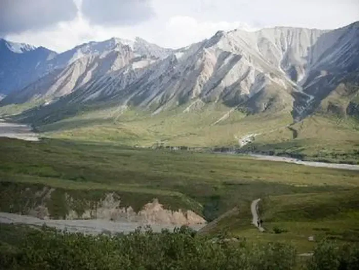 Denali National Park - Road Lottery