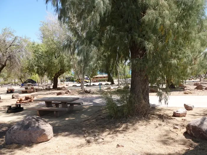 Site 119