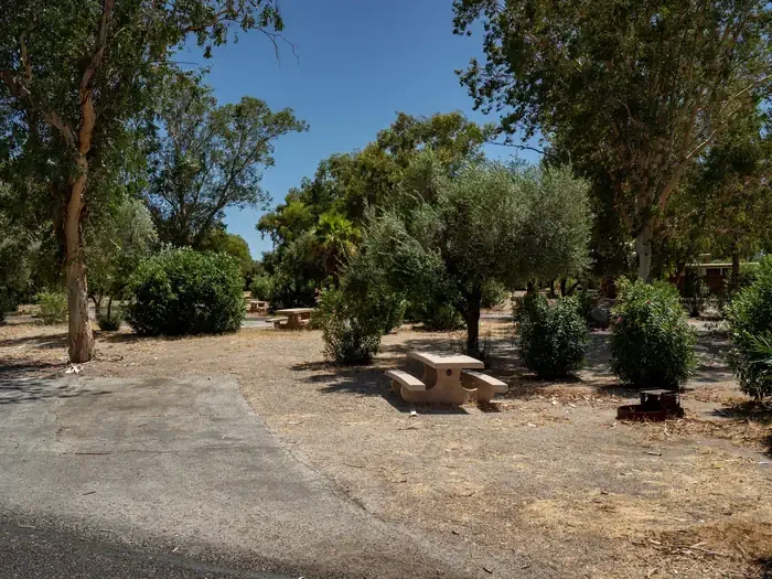 Site 38