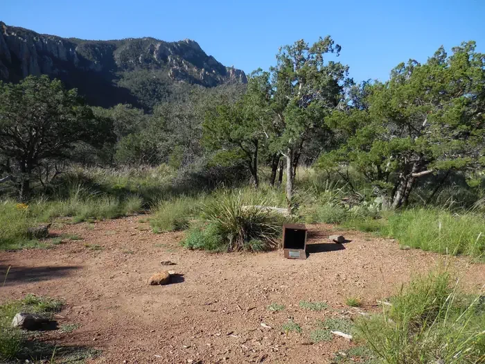 Juniper Flat 1