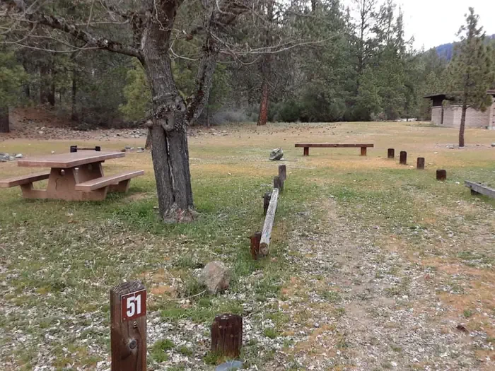 51
