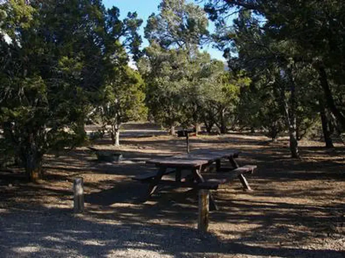 Ward Mtn. Campground (murray Summit)